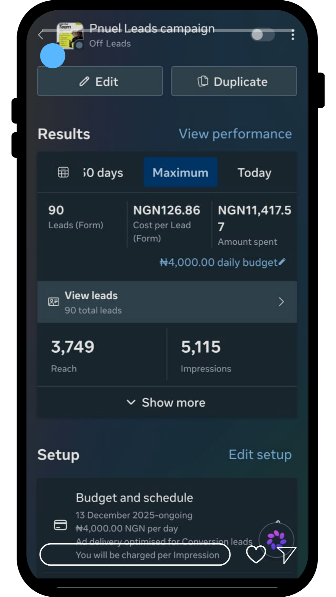 Pnuel Properties Limited leads campaign performance screenshot showing verified results
